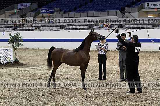 Proof 10r13_0304