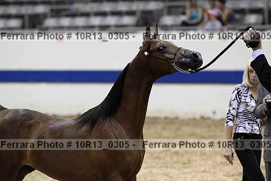 Proof 10r13_0305