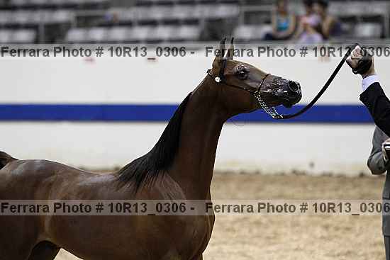 Proof 10r13_0306