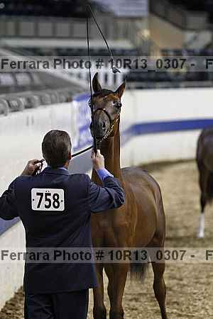 Proof 10r13_0307