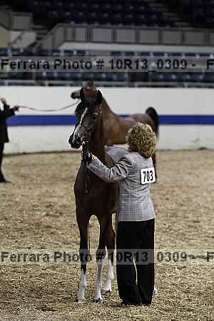 Proof 10r13_0309