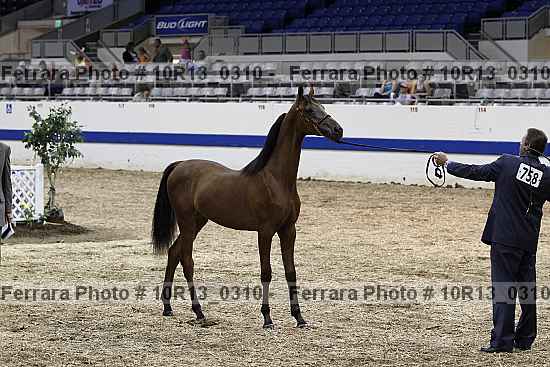 Proof 10r13_0310
