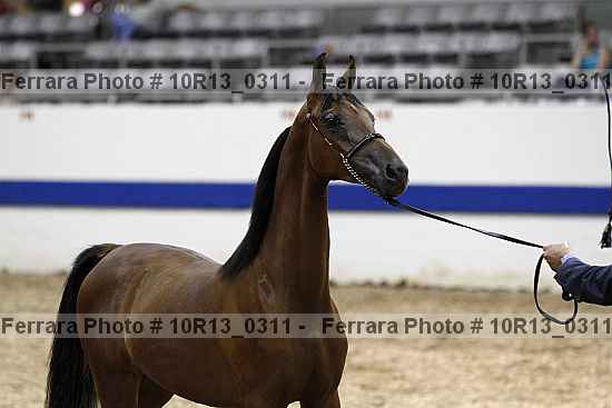 Proof 10r13_0311