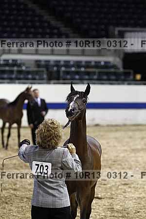 Proof 10r13_0312