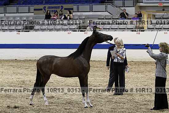 Proof 10r13_0313