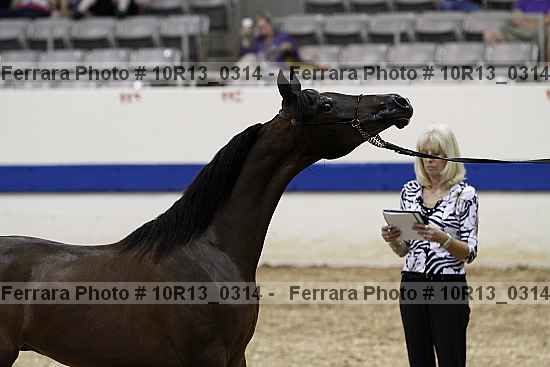 Proof 10r13_0314