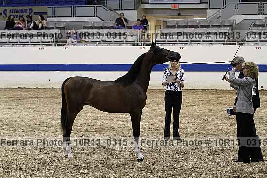 Proof 10r13_0315