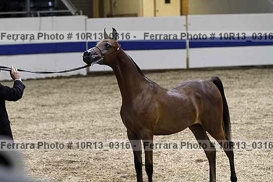 Proof 10r13_0316