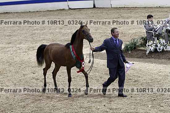 Proof 10r13_0324