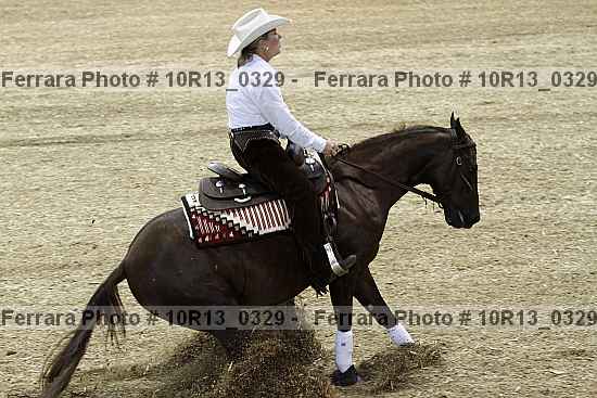 Proof 10r13_0329