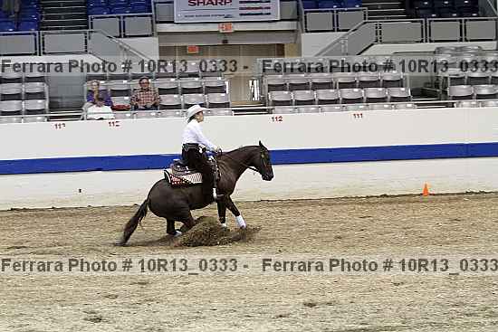 Proof 10r13_0333