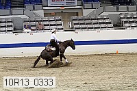 10r13_0333 proof