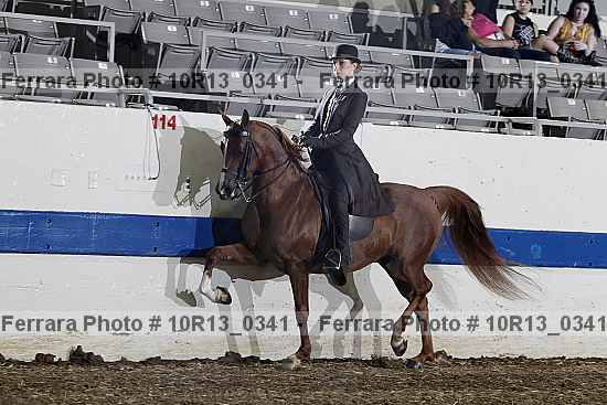 Proof 10r13_0341