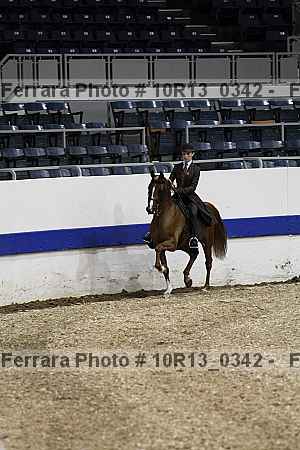 Proof 10r13_0342