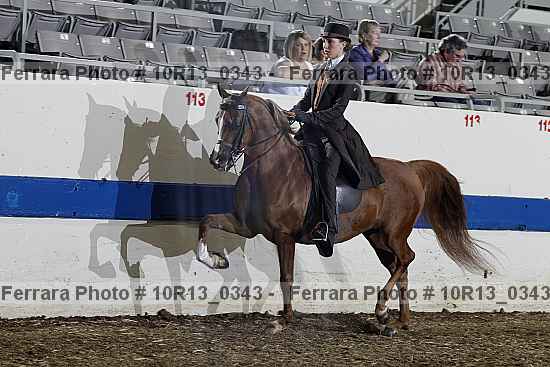 Proof 10r13_0343