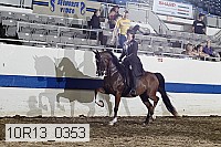 10r13_0353 proof