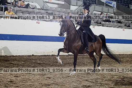 Proof 10r13_0356