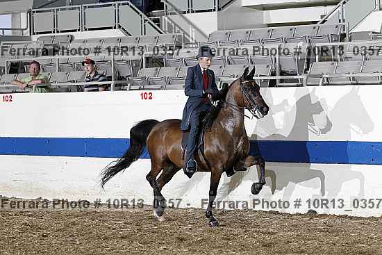 Proof 10r13_0357