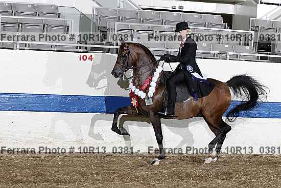 Proof 10r13_0381