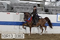 10r13_0382 proof