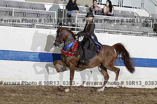 Proof 10r13_0383