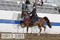 10r13_0383 proof