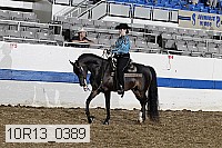 10r13_0389 proof