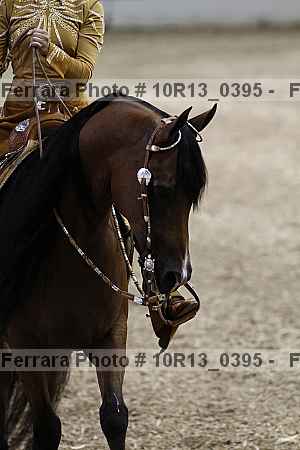 Proof 10r13_0395