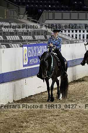 Proof 10r13_0427