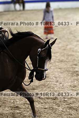 Proof 10r13_0433