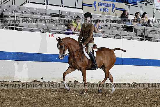 Proof 10r13_0447