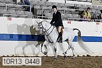 10r13_0448 proof