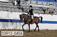 10r13_0454 proof