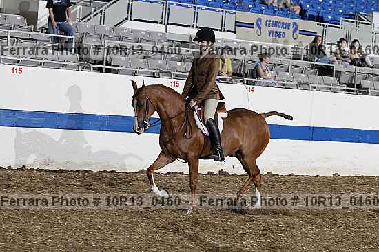 Proof 10r13_0460