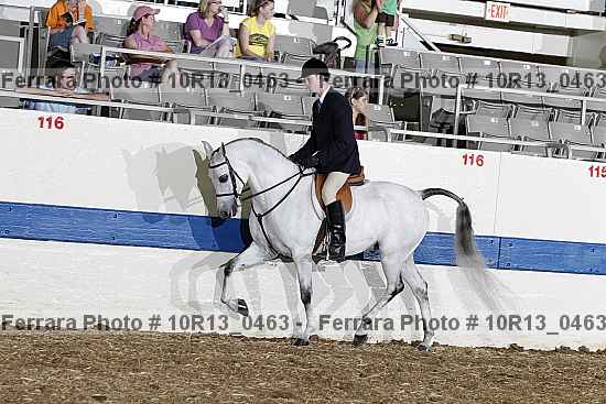 Proof 10r13_0463