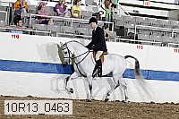 10r13_0463 proof