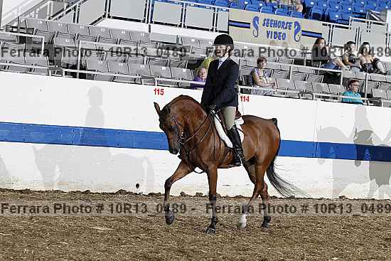 Proof 10r13_0489