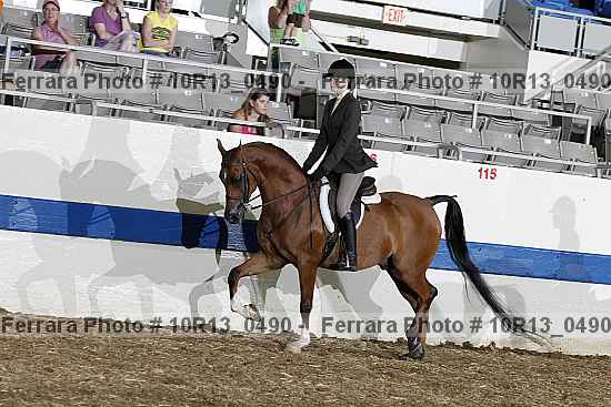 Proof 10r13_0490