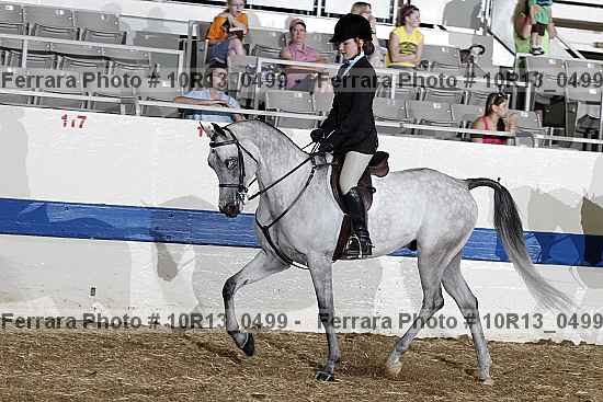 Proof 10r13_0499