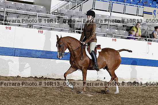 Proof 10r13_0500