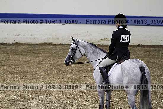 Proof 10r13_0509