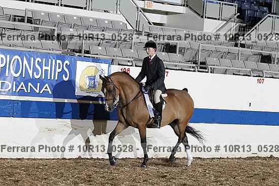 Proof 10r13_0528