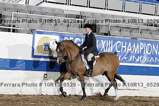 Proof 10r13_0529