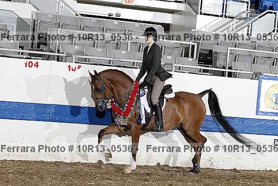 Proof 10r13_0536