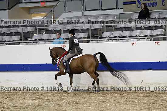 Proof 10r13_0537