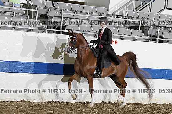 Proof 10r13_0539