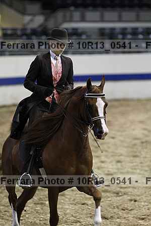 Proof 10r13_0541