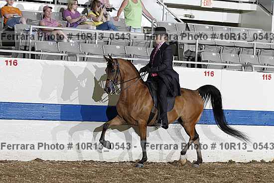 Proof 10r13_0543