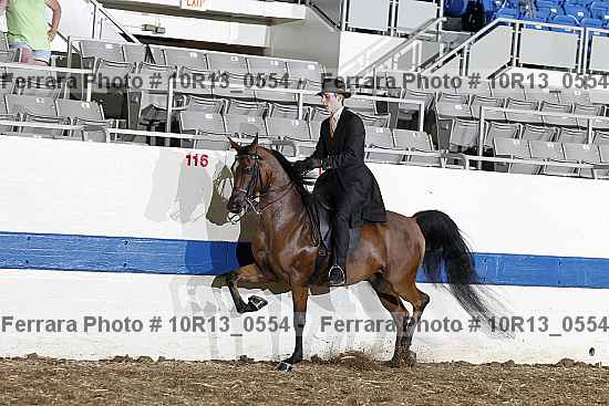 Proof 10r13_0554