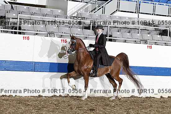 Proof 10r13_0556